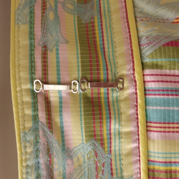 NWOT, Cynthia Steffe Paisley Stripe Skirt - Picture 7 of 13